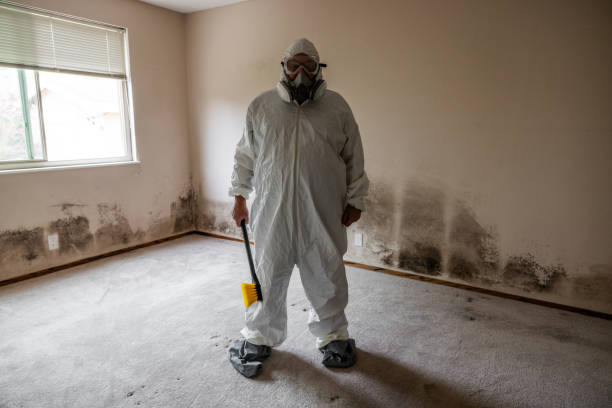 Best Commercial Mold Remediation in Bloomgton, IN